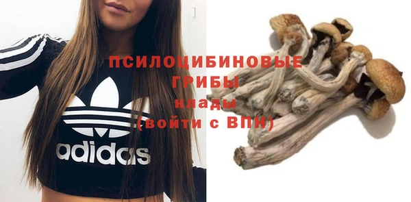 шишки Абаза