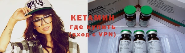 шишки Абаза