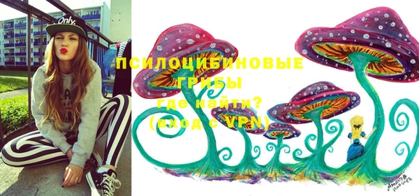 соль курить ск Алзамай