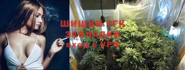 шишки Абаза