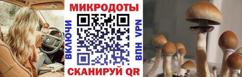 Галлюциногенные грибы Magic Shrooms  закладка  Шарья 