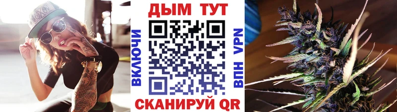 ссылка на мегу как войти  Шарья  Конопля THC 21% 